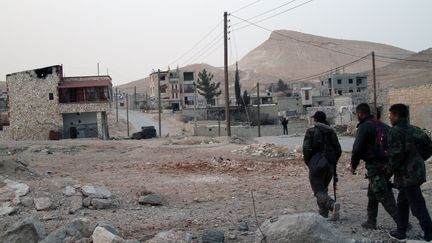 A Sahel, localit&eacute; proche de&nbsp;Yabroud, le 3 mars 2014. Les troupes loyalistes ont repris le contr&ocirc;le de Yabroud, le 16 mars 2014. (BASSEM TELLAWI / XINHUA / AFP)