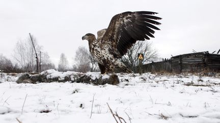 &nbsp; (? VASILY FEDOSENKO / REUTERS / X00829)