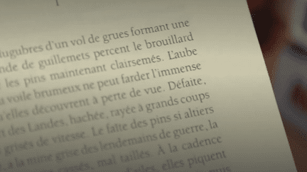 VRAI OU FAKE. La lecture rapide altère-t-elle la compréhension des ouvrages ?