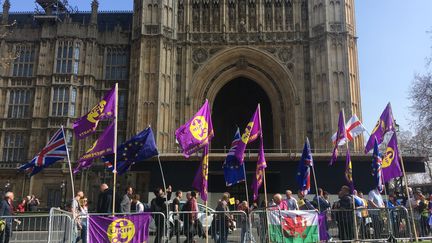 Des militants pro-Brexit du parti Ukip manifestent devant le Parlement britannique, à Londres, le 29 mars 2019. (NOÉMIE BONNIN / FRANCE-INFO)