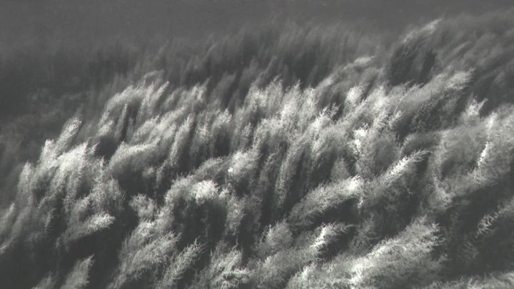 Initium Maris, paysages immergés,&nbsp;Nicolas Floc'h jusqu'au 12 mars au&nbsp;Centre d'art Gwinzegal&nbsp;à Guingamp.&nbsp; (J. Seigner / France Télévisions)