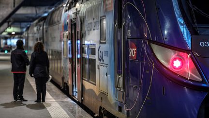 Un TER à quai, à la gare Montparnasse, le 2 janvier 2020. (STEPHANE DE SAKUTIN / AFP)