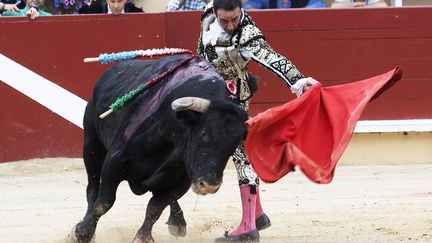 Une corrida à Bayonne (Pyrénées-Atlantiques), le 14 août 2017.&nbsp; (DANIEL VELEZ / AFP)