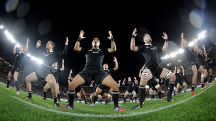 Le haka des All Blacks lors d'un match contre l'Afrique du Sud, &agrave; Auckland (Nouvelle-Z&eacute;lande), le 14 septembre 2013.&nbsp; (PHIL WALTER / GETTY IMAGES ASIAPAC)