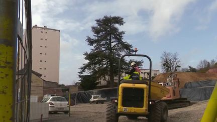 Partout en France, des arrachages d'arbres suscitent le débat. Au Mans, dans la Sarthe, des habitants se mobilisent pour préserver leur patrimoine écologique. (France 2)