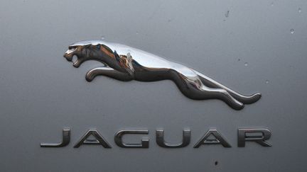 Un logo de la marque Jaguar sur une voiture garée à Dublin, en Irlande, le 25 janvier 2021. (ARTUR WIDAK / NURPHOTO)