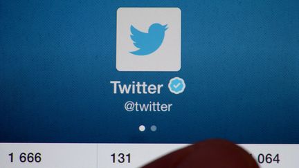 Un utilisateur de Twitter, en novembre 2013. (DAMIEN MEYER / AFP)