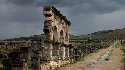 Mohammed Charroud, chercheur en géologie à la faculté des sciences de Fès, a raconté en 2013 au quotidien marocain Le Matin qu'il rencontrait "souvent", lors de ses recherches à Volubilis, des "caravaniers qui s'installent à proximité du site à la recherche d'objets anciens de valeur". (MANUEL COHEN/AFP)