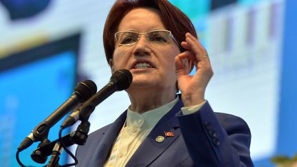 Meral Aksener, leader du Bon parti, en meeting le 1er avril 2018 à Ankara. (ADEM ALTAN / AFP)