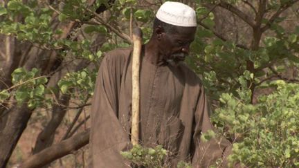 A 80 ans, le cultivateur burkinabè Yacouba Sawadogo, surnommé «l'homme qui a arrêté le désert» a été récompensé par le Nobel Alternatif 2018. (Photo/Prix Right Livelihood)