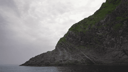 Japon : à la rencontre des ours dans le parc naturel de Shiretoko sur l’île d’Hokkaido (France 2)