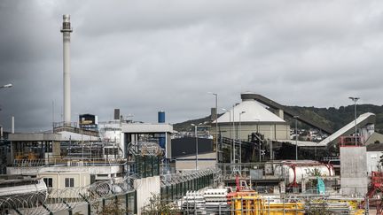 L'usine Lubrizol à Rouen, en septembre 2019.&nbsp; (ARNAUD DUMONTIER / MAXPPP)