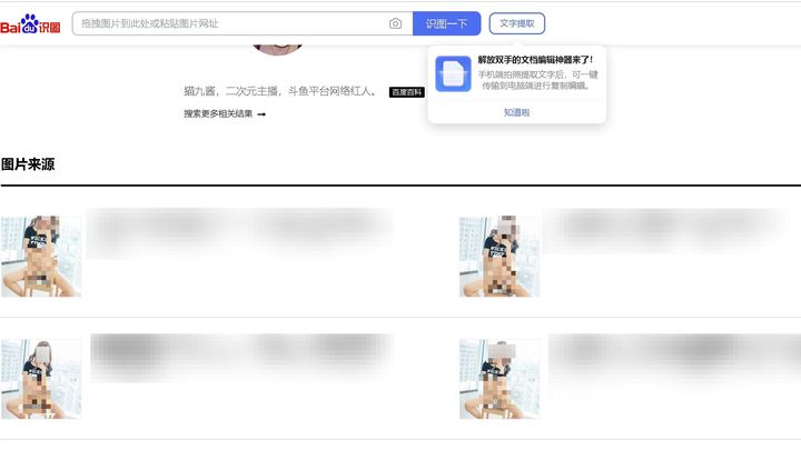 Le résultat d'une recherche inversée d'image, réalisée début décembre 2022. (BAIDU/CAPTURE D'ECRAN)