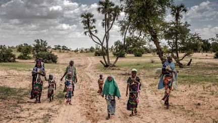 Dans le Sahel... (LUIS TATO/FAO/AFP)