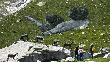 L'artiste français SAype, signe "Une Grande Dame", une fresque monumentale au pied du Mont-Blanc (PIERO CRUCIATTI / ANADOLU AGENCY)