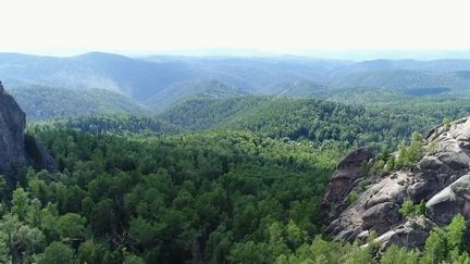 Russie : les forêts menacées par le changement climatique