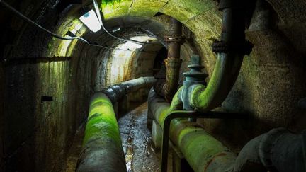 La photographe américaine Nan Goldin a choisi elle de s’intéresser à un lieu plus insolite et inaccessible au public&nbsp;: l’impressionnant réseau hydraulique souterrain. (Nan Goldin / Château de Versailles)