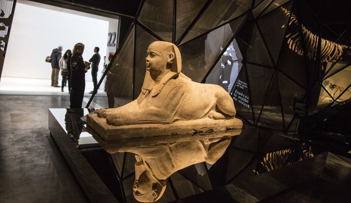 Les visiteurs sont invités à déambuler et à participer à différentes activités
 (Quentin Lafont - 2014- Musée des Confluences, Lyon, France)