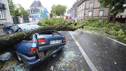 Un arbre tomb&eacute; sur une voiture en raison des intemp&eacute;ries, le 21 mai 2014 &agrave; Limoges (Haute-Vienne). (PASCAL LACHENAUD / AFP)