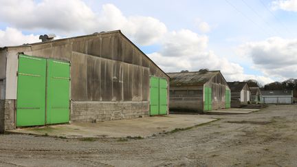 Les poulaillers industriels de l'élevage avicole, le 1er avril 2016. (BENOIT ZAGDOUN / FRANCETV INFO)