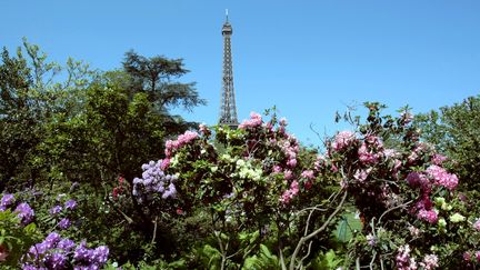 En Ile-de-France, dont pr&egrave;s de 80% de la surface reste rurale, la biodiversit&eacute; est globalement en &eacute;rosion, annonce Natureparif le 28 janvier 2014. (JACQUES DEMARTHON / AFP)