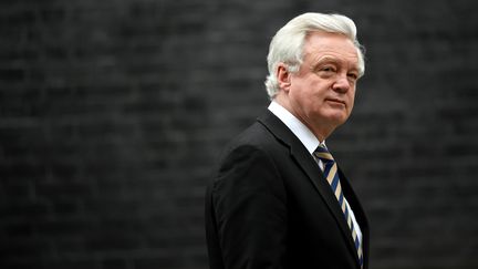 Le ministre britannique en charge du Brexit, David Davis, à Londres, le 29 janvier 2018. (TOBY MELVILLE / REUTERS)