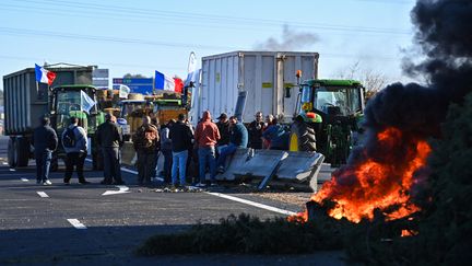 Des agriculteurs mobilisés sur un blocage de l'A9 près de Nîmes (Gard), le 25 janvier 2024. (SYLVAIN THOMAS / AFP)