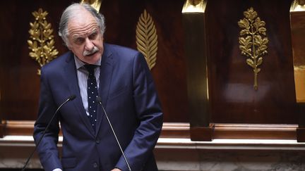 Noël Mamère, à l'Assemblée nationale (LIONEL BONAVENTURE / AFP)