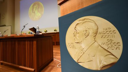 Une estrade est installée à l'Institut Karolina de Stockholm (Suède), le 2 octobre 2017, à l'occasion de l'annonce du prix Nobel de médecine. (JONATHAN NACKSTRAND / AFP)