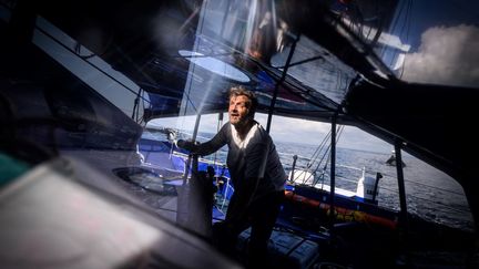 VIDEO. Vendée Globe : Eric Bellion fait la rencontre d'une baleine 