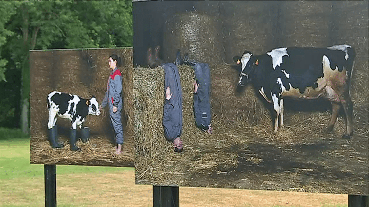 Les photos de Georges Pacheco. 
 (Capture d&#039;écran France 3 Pays de la Loire )