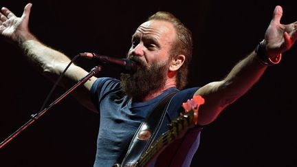 Le public de Beauregard a découvert un Sting barbu
 (FADEL SENNA / AFP)