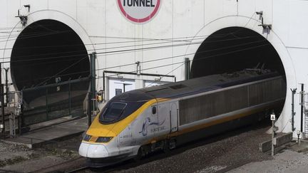 Un train Eurostar sort du tunnel &agrave; Coquelles, pr&egrave;s de Calais (Pas-de-Calais), le 5 mai 2014. (PASCAL ROSSIGNOL / REUTERS)