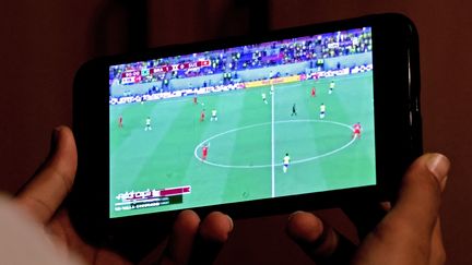 Streaming illégal : le secteur sportif perd 290 millions d'euros par an, selon l'Arcom, qui s'inquiète de la progression des IPTV