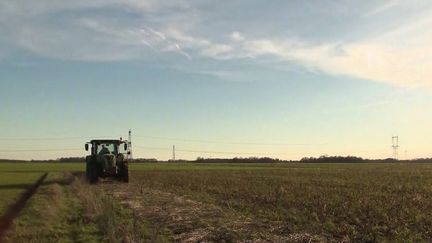 Colère des agriculteurs : une dérogation face à l'obligation des terres en jachère (France 2)