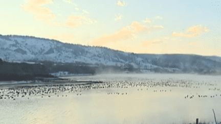 États-Unis : Yellowstone river, dernière rivière libre du pays, menacée par un projet de barrage