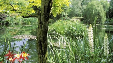 Le jardin de Claude Monet à Giverny
 (YVON-LEMANOUR / PHOTONONSTOP)