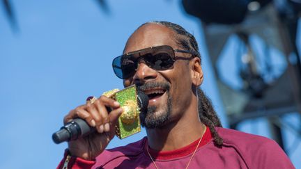 &nbsp; (Snoop Dog en concert à Avalon aux USA le 30 mai 2015 © Maxppp)