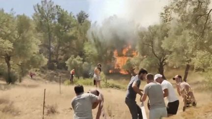 Turquie : la détresse de la population face aux violents incendies