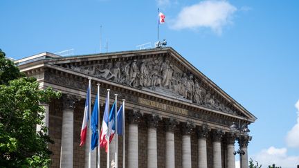 L'Assemblée nationale, le 8 juillet 2021 à Paris. (RICCARDO MILANI / HANS LUCAS / AFP)