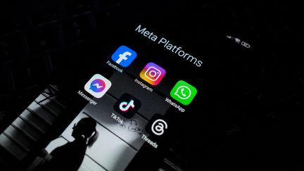 Des logos de réseaux sociaux sur un smartphone le 21 novembre 2024. (NIKOLAS KOKOVLIS / NURPHOTO / AFP)