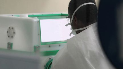 Afrique : l'Institut Pasteur prépare la lutte contre le coronavirus