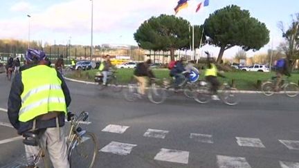 Les zadistes de Notre-Dame-des-Landes arrivent à Palaiseau (Essonne), le 27 novembre 2015. (FRANCE 3 PARIS ILE-DE-FRANCE)