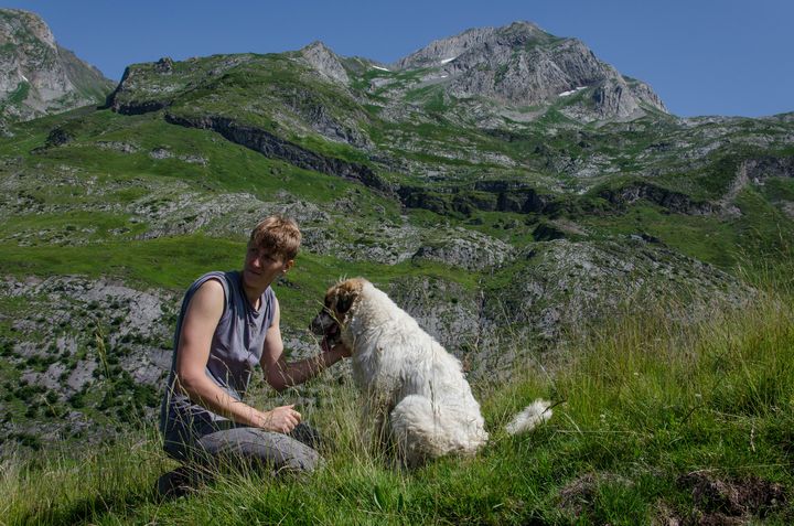 Lucie Guillerot, technicienne pour La Pastorale pyrénéenne, et le chiot Ouest, le 18 juillet 2018 à Etsaut (Pyrénées-Atlantiques). (THOMAS BAÏETTO / FRANCEINFO)