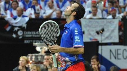 Radek Stepanek.  (MICHAL CIZEK / AFP)