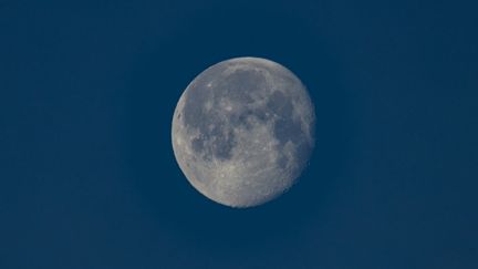 La Lune vue depuis Eindhoven, aux Pays-Bas, le 28 janvier 2024. (NICOLAS ECONOMOU / NURPHOTO / AFP)