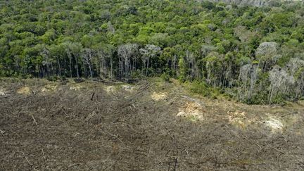 Cette photo aérienne montre une zone déboisée près de Sinop, dans l'État du Mato Grosso, au Brésil, le 7 août 2020. (FLORIAN PLAUCHEUR / AFP)