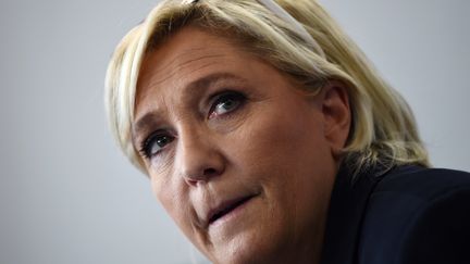 La présidente du Front national Marine Le Pen, le 8 octobre 2017. (ANNE-CHRISTINE POUJOULAT / AFP)