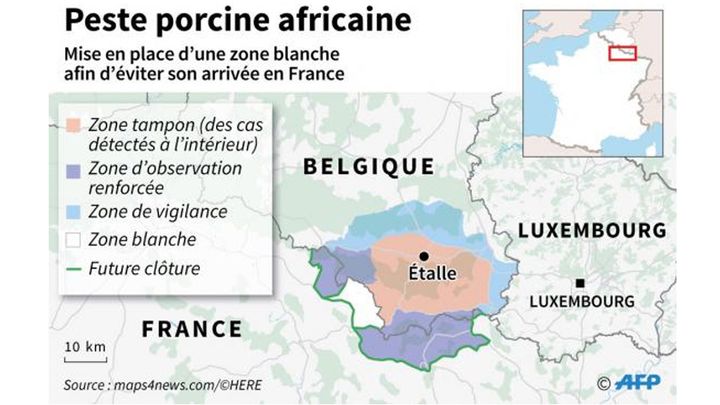 Mise en place d'une zone blanche pour éviter l'arrivée de la peste porcine africaine en France (AFP)