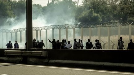 Jungle de Calais : François Hollande annonce le démantèlement